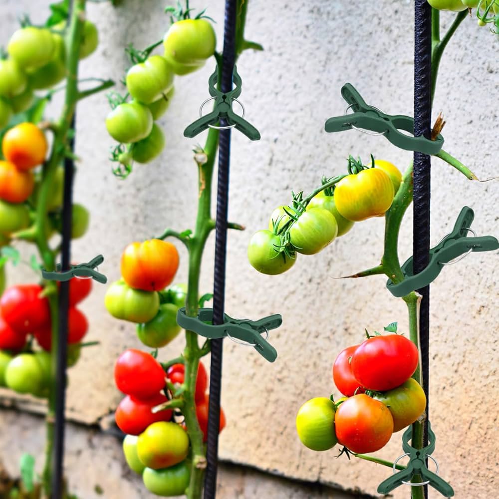 50Pcs Plant Support Clips Tomatoes Clips Garden Plant