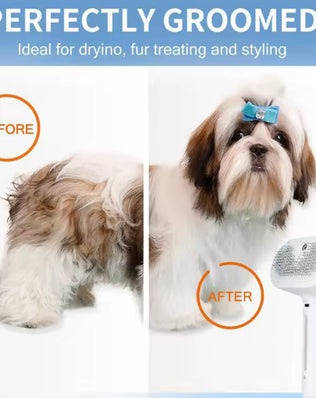 Problems Solved Dog Steam Comb Pet Massage Brush with USB charging, showing the brush with steam vents and ergonomic handle.