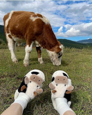Cow Slippers Women Men Plush Mules Winter Soft Warm Comfortable Fluffy