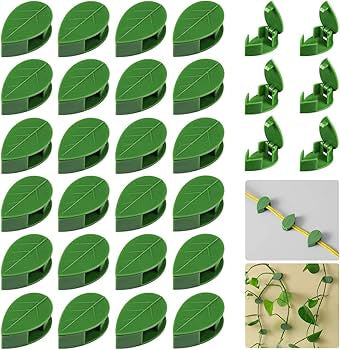 30 Pieces Plant Climbing Wall Fixture Clips, Self-Adhesive Plant Fixer Invisible Clips