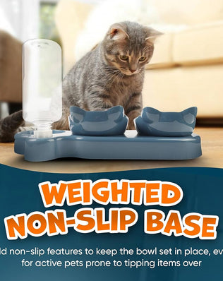 Problems Solved 3-in-1 cat food and water bowl set with raised tilted bowls and waterproof mat, designed for easy feeding.