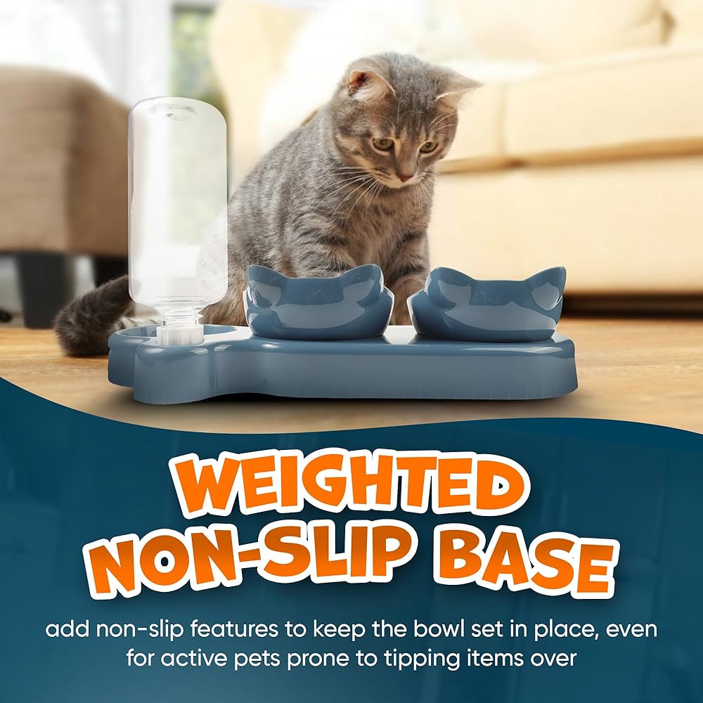 Problems Solved 3-in-1 cat food and water bowl set with raised tilted bowls and waterproof mat, designed for easy feeding.
