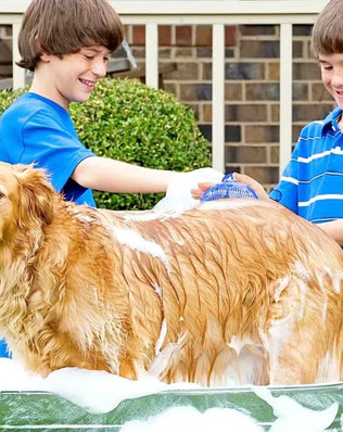 Dog NEW Grooming Pet Shampoo Brush I Soothing Massage Rubber Bristles