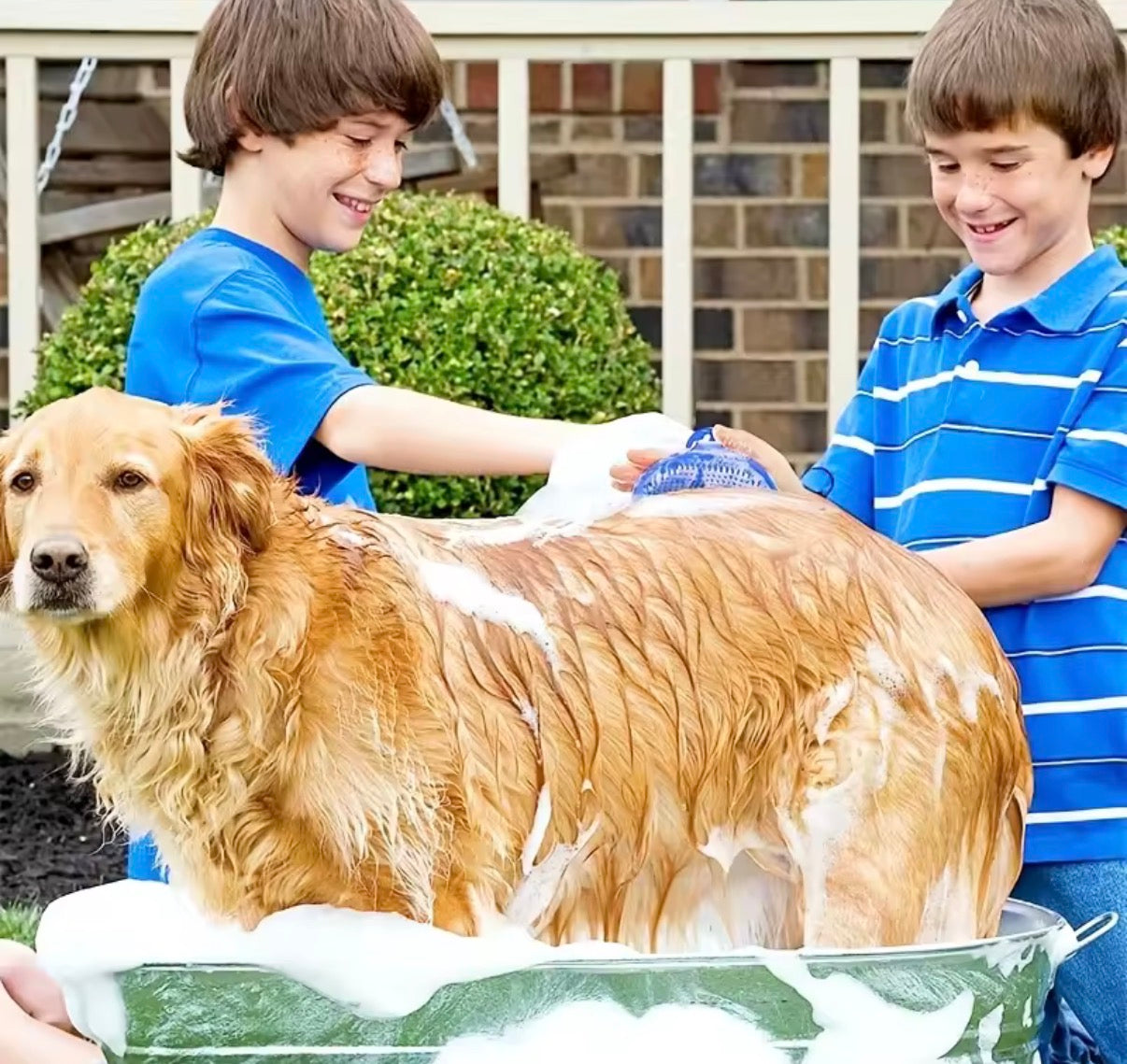 Dog NEW Grooming Pet Shampoo Brush I Soothing Massage Rubber Bristles