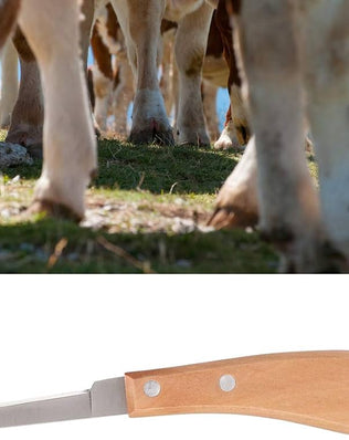 Sharper Hoof Knife, Left or Right Hand Farrier Tools