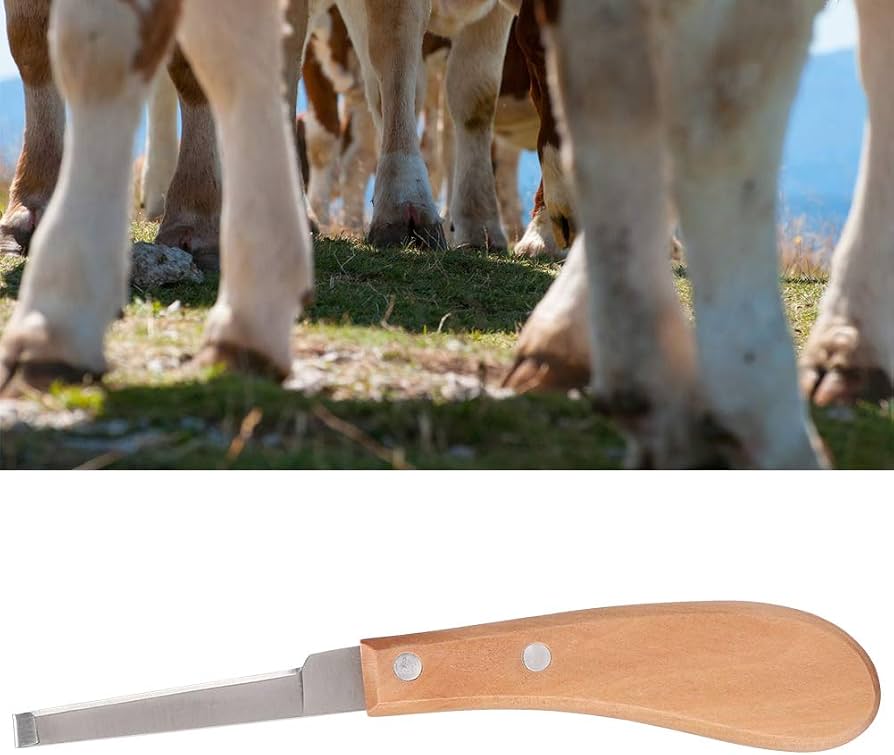 Sharper Hoof Knife, Left or Right Hand Farrier Tools