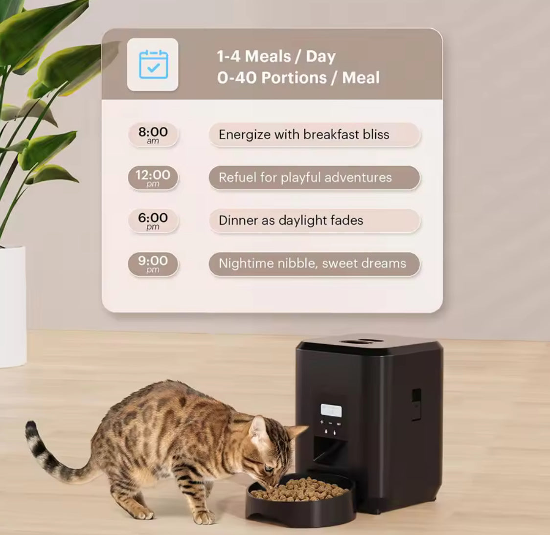 Smart Pet Feeder Automatic With Timed Quantitative - Problems Solved