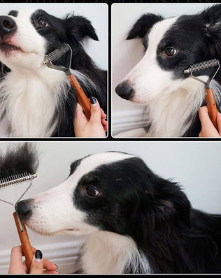 Undercoat rake dog grooming comb, dog brushes for Shedding Stripping Brush Pet