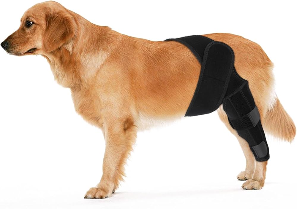 Problems Solved dog rear leg braces supporting ligament, hip, and muscle injuries for canine joint stability and injury recovery.