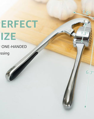 Problems Solved garlic press crusher and mincer tool for garlic and ginger, with stainless steel construction and ergonomic handle.
