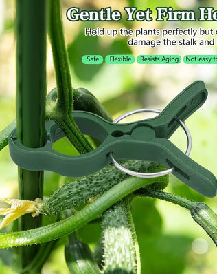 50Pcs Plant Support Clips Tomatoes Clips Garden Plant