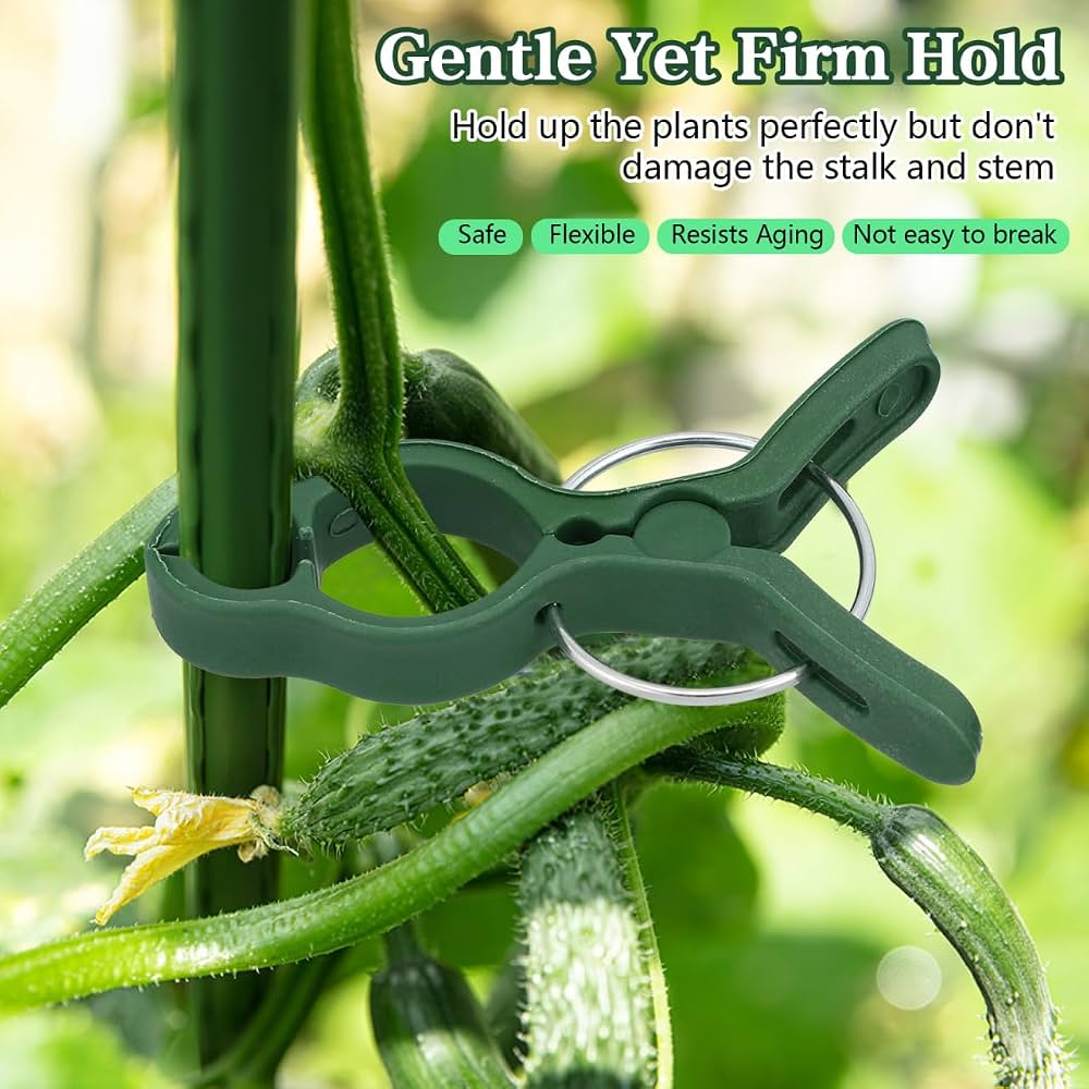 50Pcs Plant Support Clips Tomatoes Clips Garden Plant