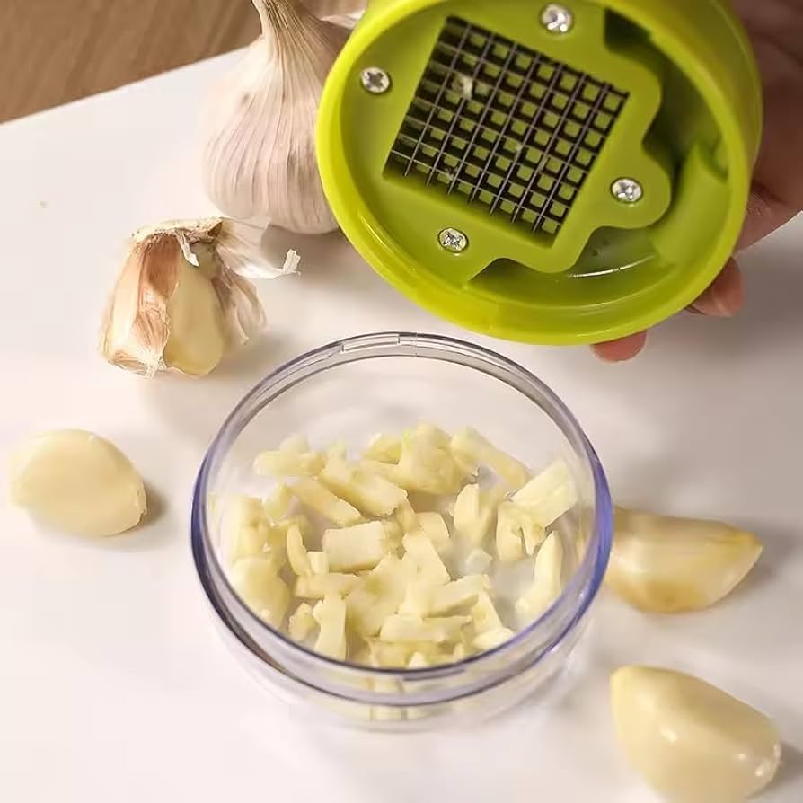 Problems Solved mini garlic chopper and press with container, manual garlic mincer crusher in emptycolor for easy garlic crushing.