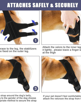 Dog rear leg braces by Problems Solved supporting ligament injuries, hips, muscles, with adjustable straps and sturdy construction.