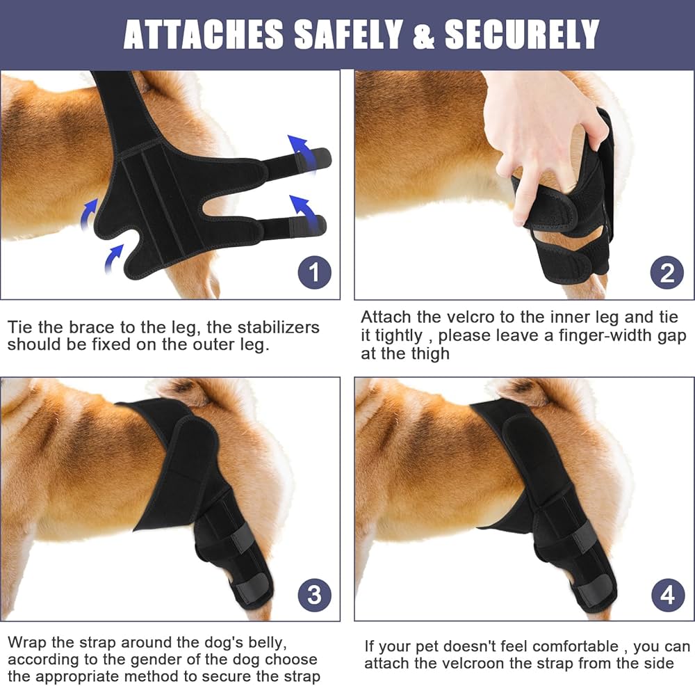 Dog rear leg braces by Problems Solved supporting ligament injuries, hips, muscles, with adjustable straps and sturdy construction.