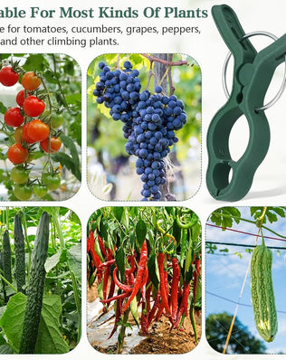 50Pcs Plant Support Clips Tomatoes Clips Garden Plant