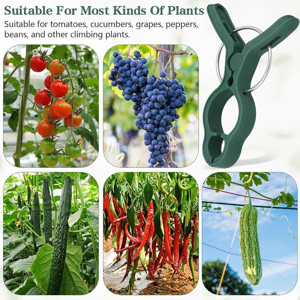 50Pcs Plant Support Clips Tomatoes Clips Garden Plant