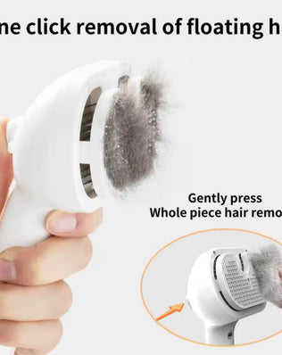 Problems Solved Dog Steam Comb pet massage brush with USB charging, showing the handheld brush and steam vents for grooming.