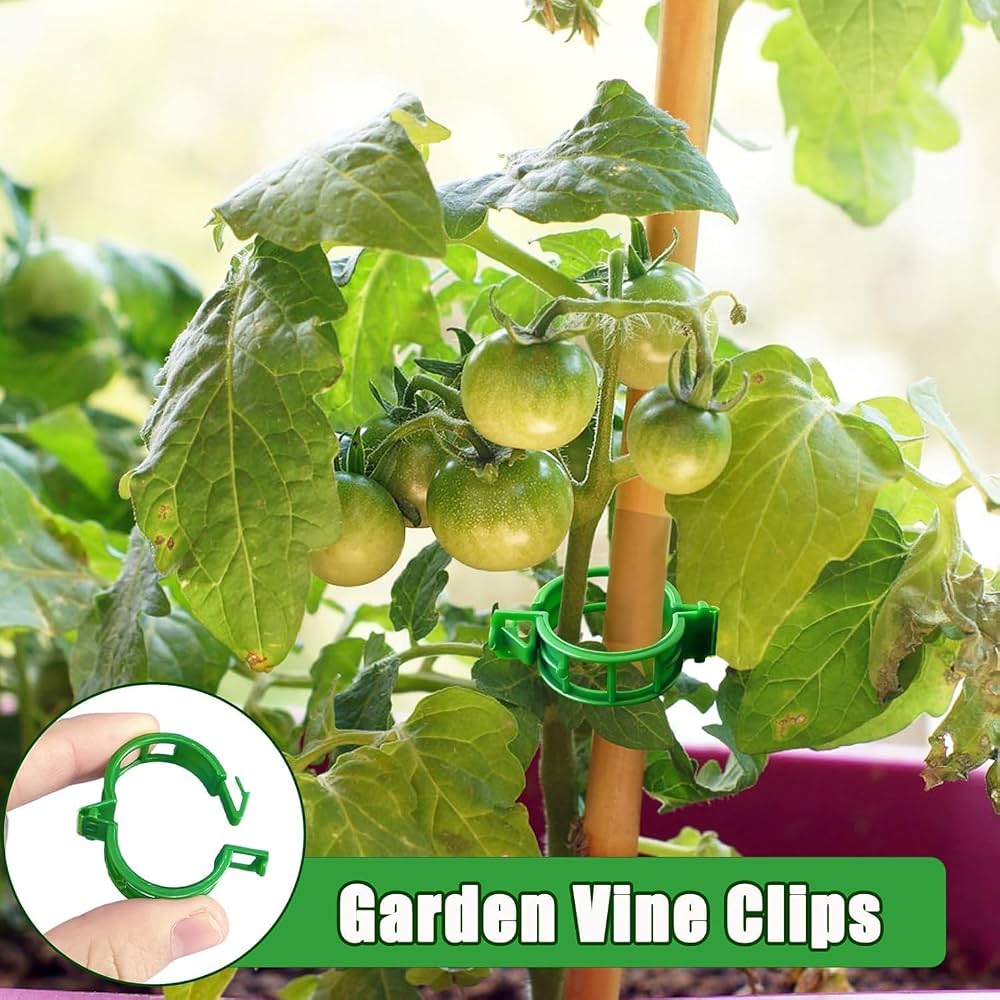 Pack of 100 Plant Support Clips, Garden Plant Support, Plant Clips for Climbing Plants