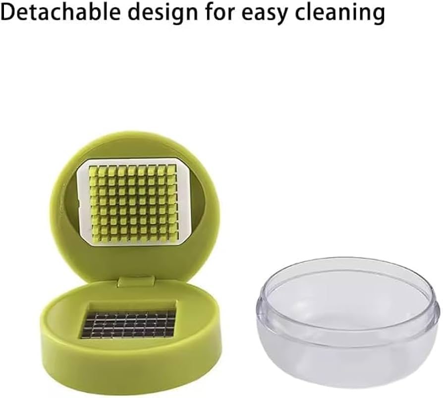 Problems Solved mini garlic chopper and press with container, manual garlic mincer crusher shown on a kitchen countertop.
