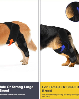 Problems Solved dog rear leg braces supporting ligament, hip, and muscle injuries for canine joint and muscle stabilization.