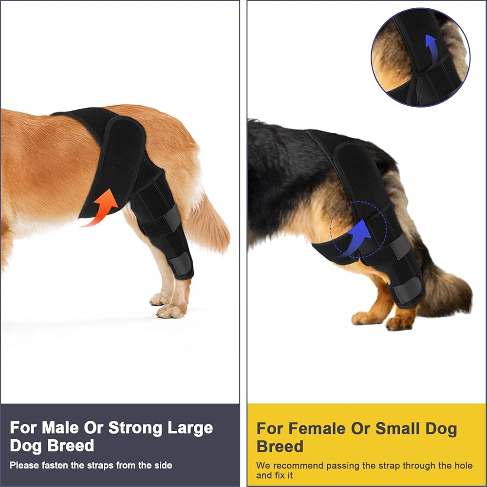 Problems Solved dog rear leg braces supporting ligament, hip, and muscle injuries for canine joint and muscle stabilization.