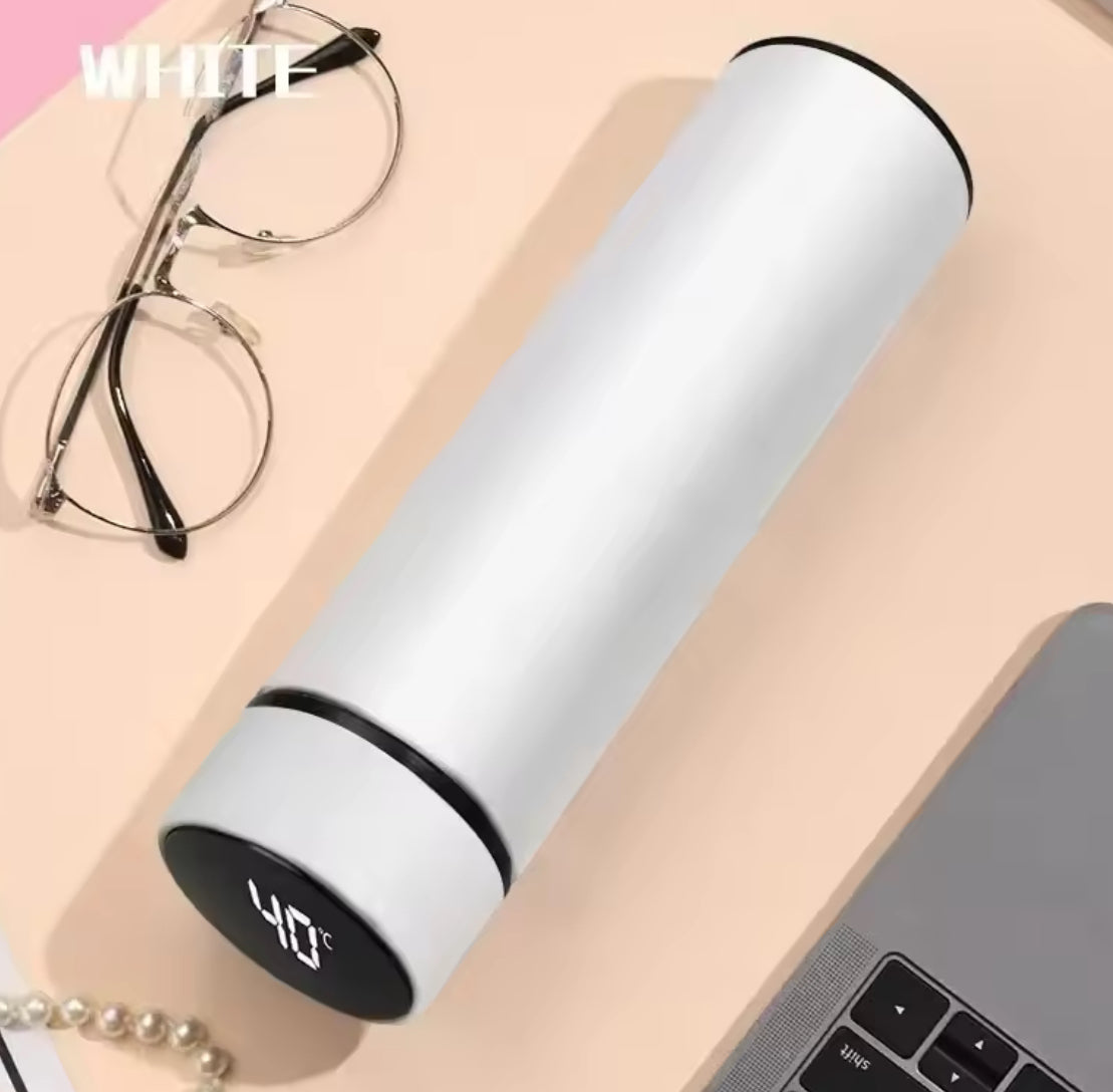 Smart Thermos Bottle with LED Temperature Display (500ml) - Problems Solved