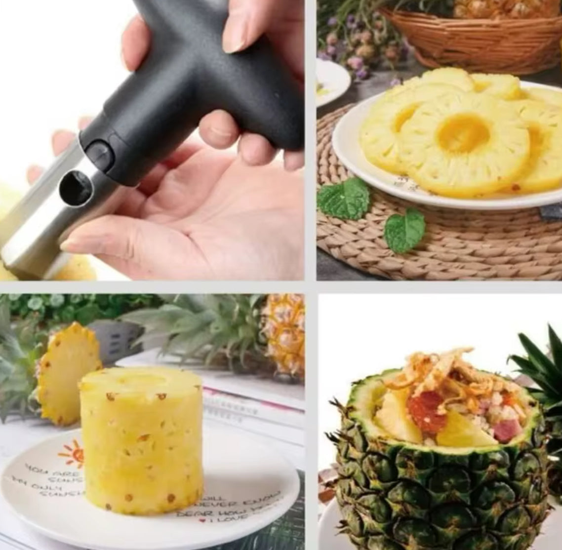 Stainless Steel Pineapple Peeler & Corer - Problems Solved