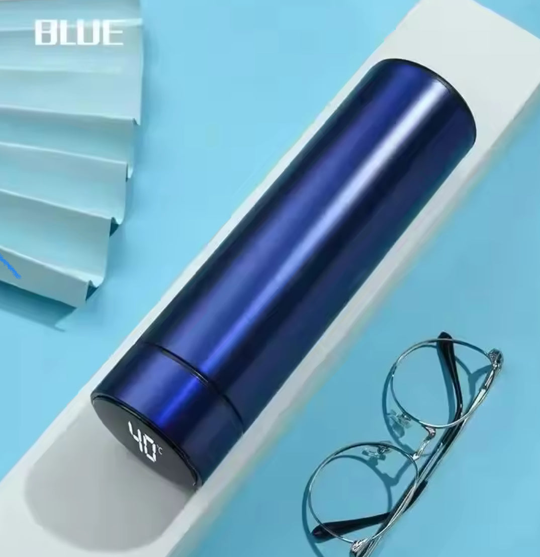 Smart Thermos Bottle with LED Temperature Display (500ml) - Problems Solved