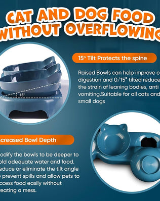 Problems Solved 3-in-1 cat food and water bowl set with waterproof mat, featuring raised, tilted bowls for easy feeding and drinking.