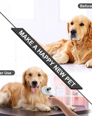 Cat Brush Dog Brush, Grooming Slicker Brushes For Grooming, Shedding Tool Dogs