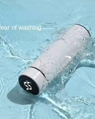 Smart Thermos Bottle with LED Temperature Display (500ml) - Problems Solved