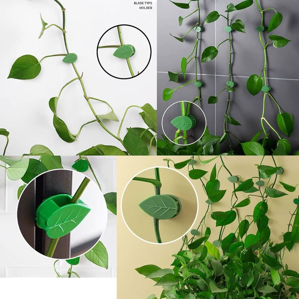 30 Pieces Plant Climbing Wall Fixture Clips, Self-Adhesive Plant Fixer Invisible Clips