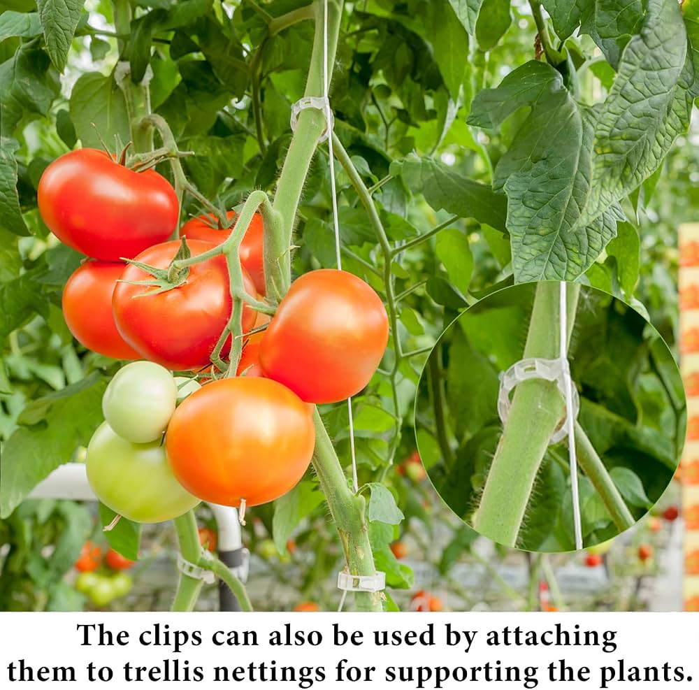 Plant Clips for Climbing Plants, 200 Pieces Plant Clips Tomato Hooks Trellis