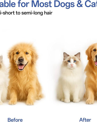 Cat Brush for Long and Short Hair Cats, Self-cleaning Dog Brush for Shedding