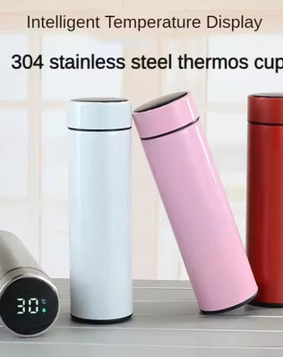 Smart Thermos Bottle with LED Temperature Display (500ml) - Problems Solved