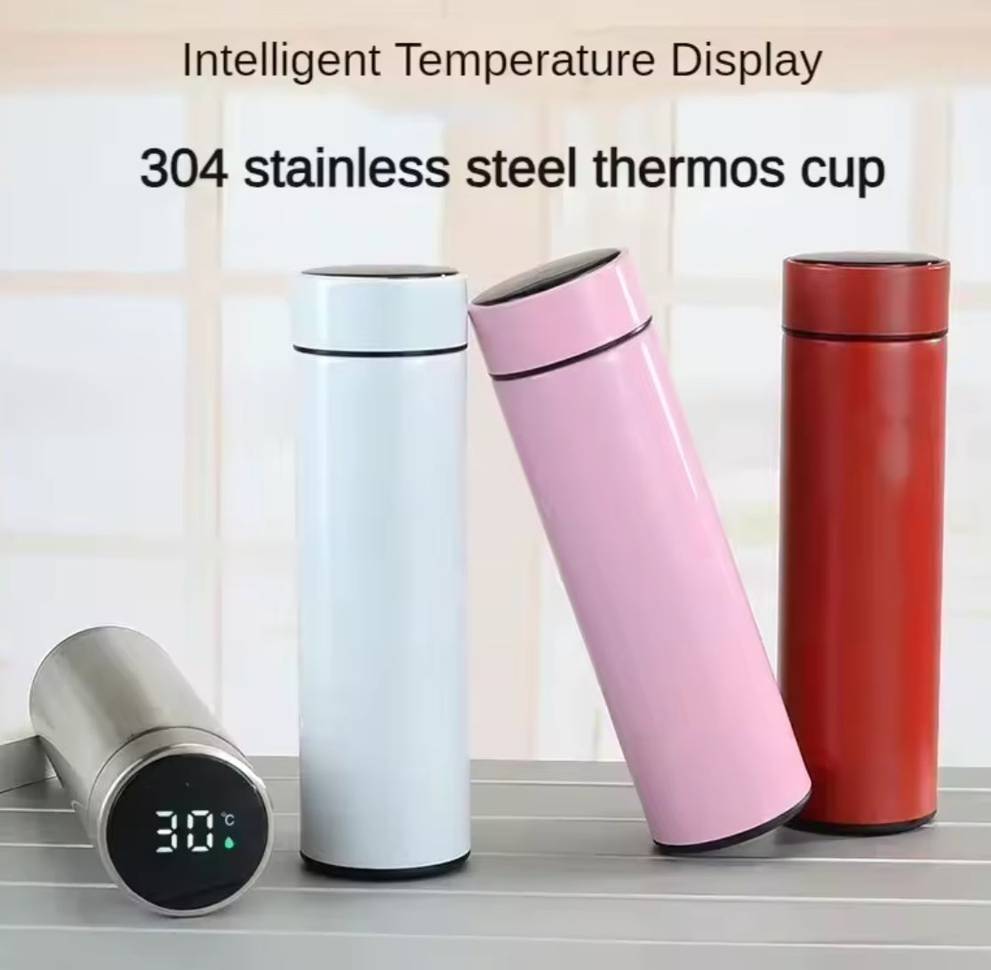 Smart Thermos Bottle with LED Temperature Display (500ml) - Problems Solved