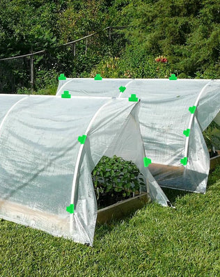 Pack of 50 Greenhouse Clamps, Diameter 11 mm Polytunnel Clip, Garden Plant Clips