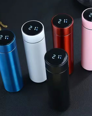 Smart Thermos Bottle with LED Temperature Display (500ml) - Problems Solved