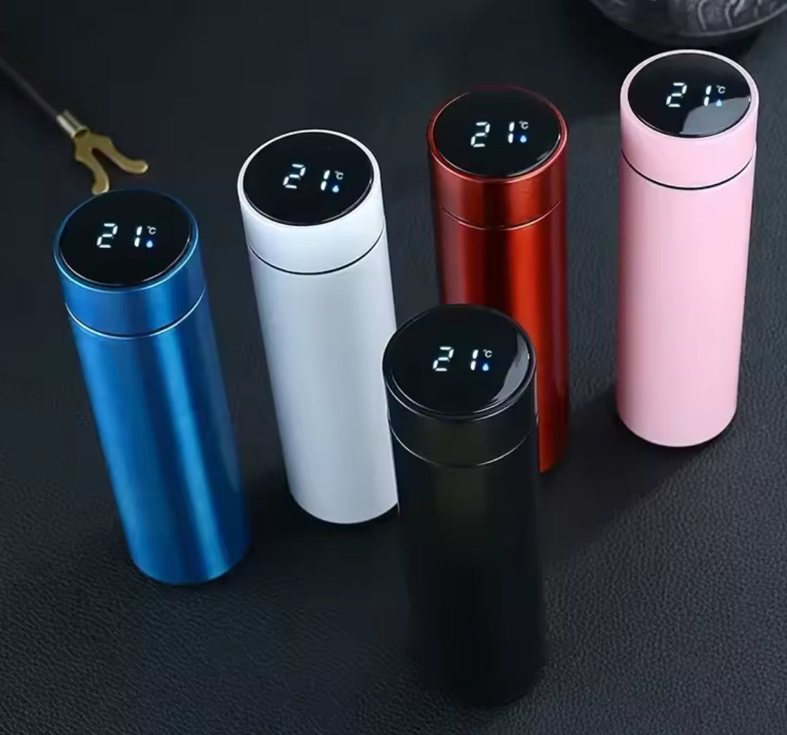 Smart Thermos Bottle with LED Temperature Display (500ml) - Problems Solved