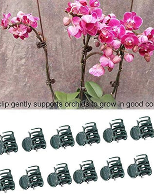 100Pcs Plant Support Clips, Garden Plastic Mini Stalks Flower Garden Tools Stem Clips