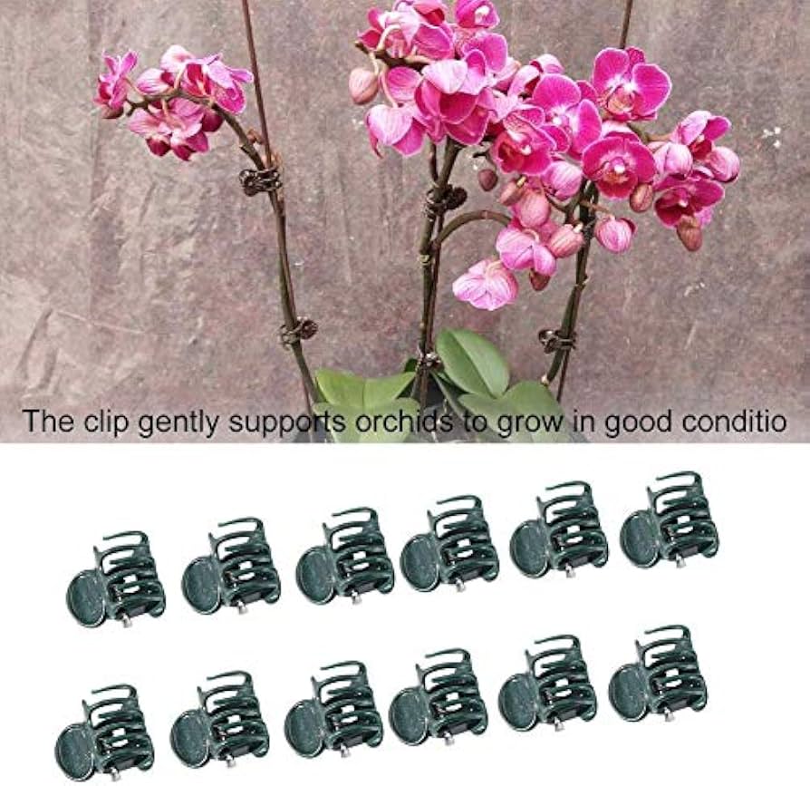 100Pcs Plant Support Clips, Garden Plastic Mini Stalks Flower Garden Tools Stem Clips