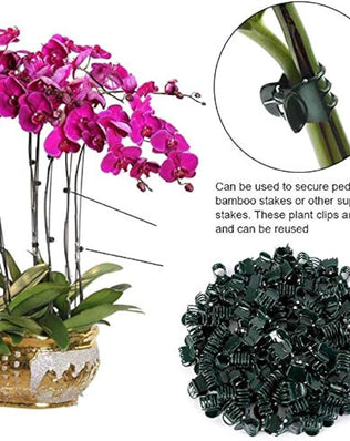 100Pcs Plant Support Clips, Garden Plastic Mini Stalks Flower Garden Tools Stem Clips