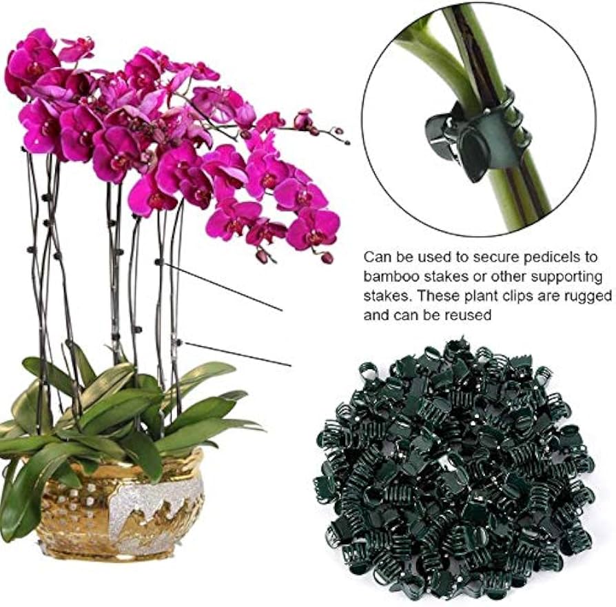 100Pcs Plant Support Clips, Garden Plastic Mini Stalks Flower Garden Tools Stem Clips