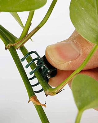 100Pcs Plant Support Clips, Garden Plastic Mini Stalks Flower Garden Tools Stem Clips
