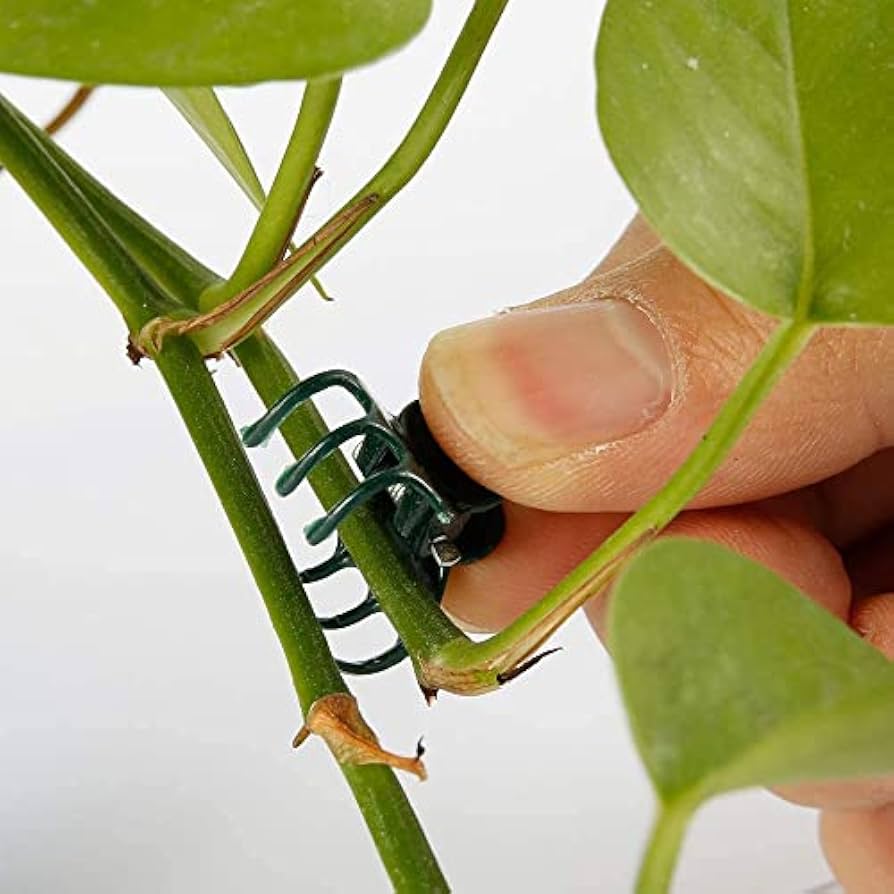 100Pcs Plant Support Clips, Garden Plastic Mini Stalks Flower Garden Tools Stem Clips