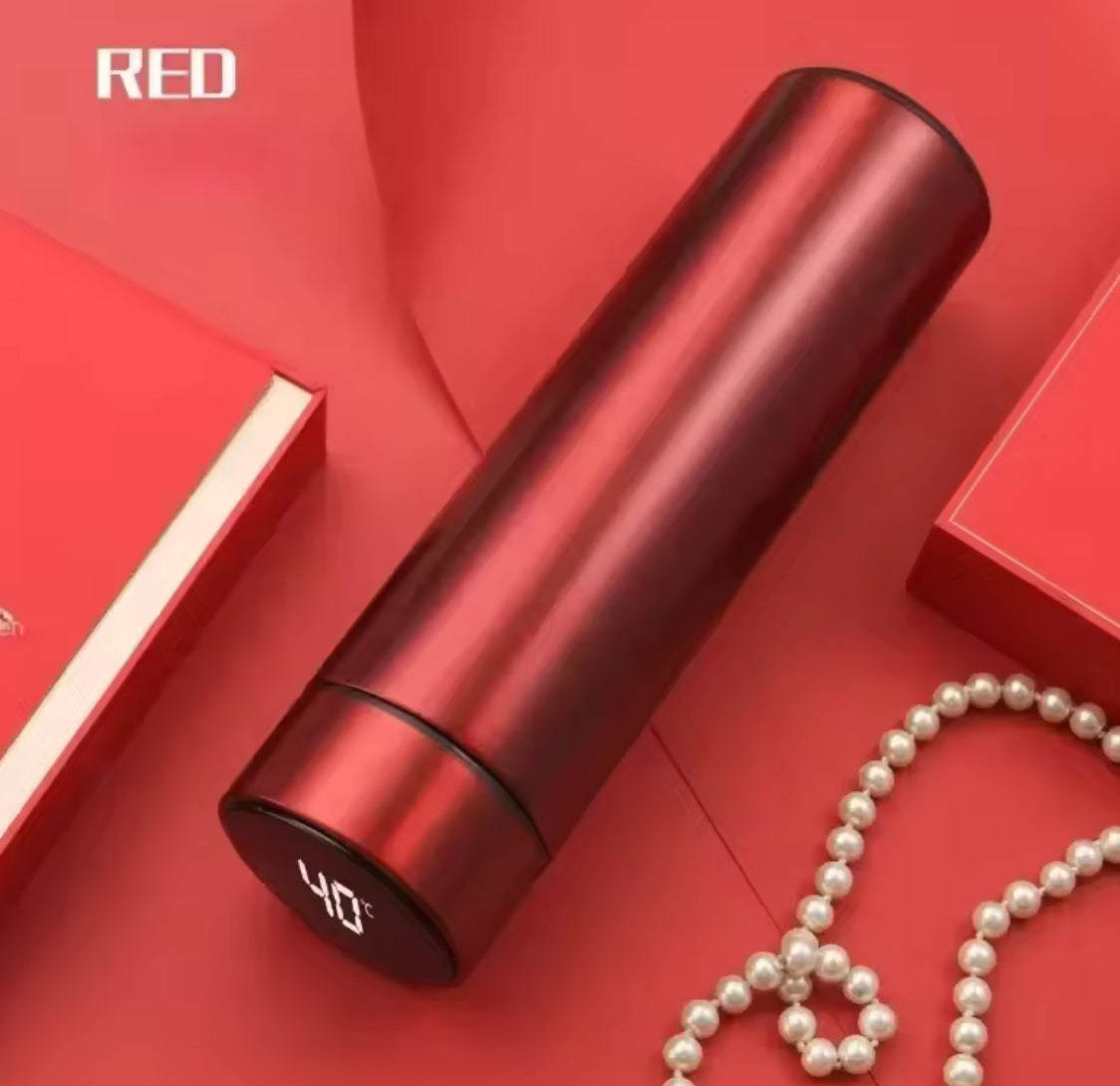 Smart Thermos Bottle with LED Temperature Display (500ml) - Problems Solved
