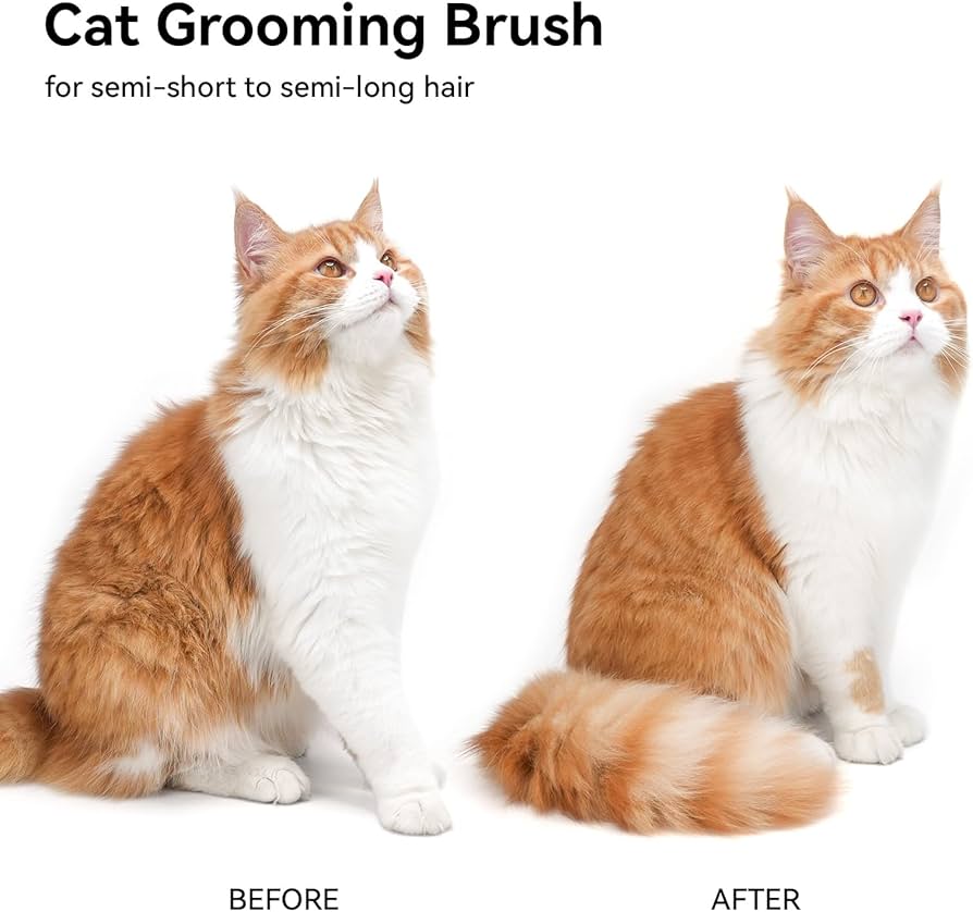 Cat Brush with Release Button, Cat Grooming Brush for Long or Semi-Short Haired Cats