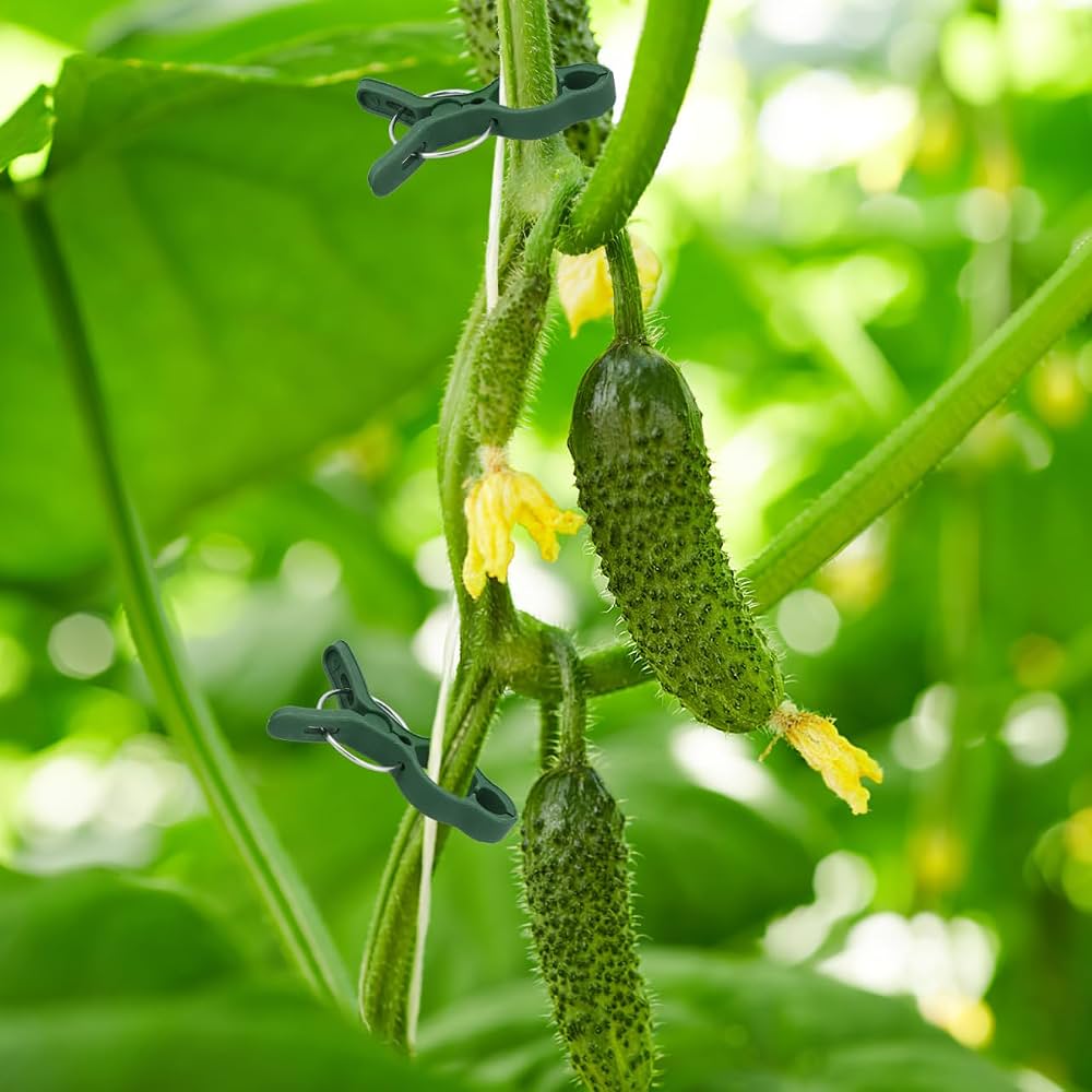 50Pcs Plant Support Clips Tomatoes Clips Garden Plant