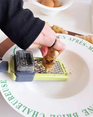 Kitchen Novel Garlic Crusher Ginger Grinding Grater Planer - Problems Solved